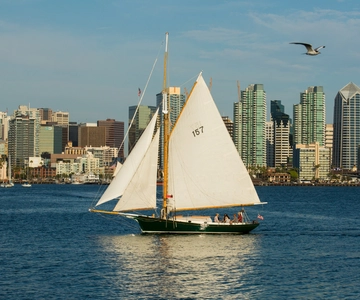 San Diego: Classic Yacht Sailing Experience