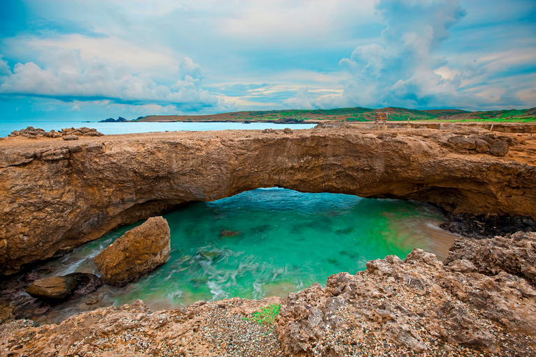 Aruba : le meilleur d'Aruba en busAruba: aventure d'une journée à Aruba