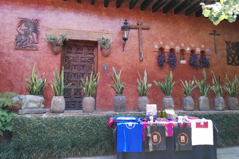 Mexico : visite privée à Cuernavaca et Taxco