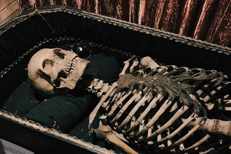 Savannah: recorrido a pie por el museo Graveface después del anochecer