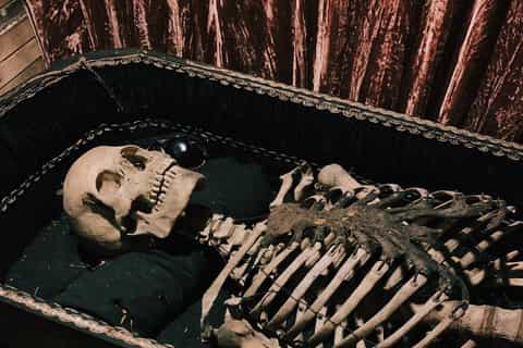Savannah: Graveface Museum After Dark Walking Tour