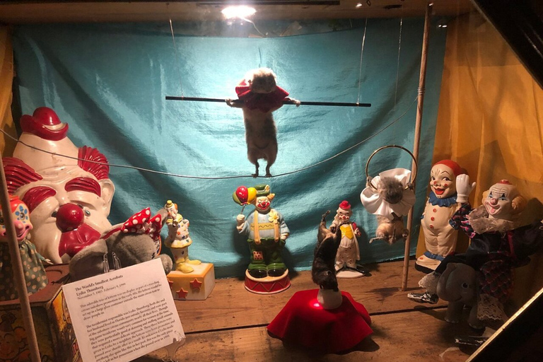 Savannah: recorrido a pie por el museo Graveface después del anochecer