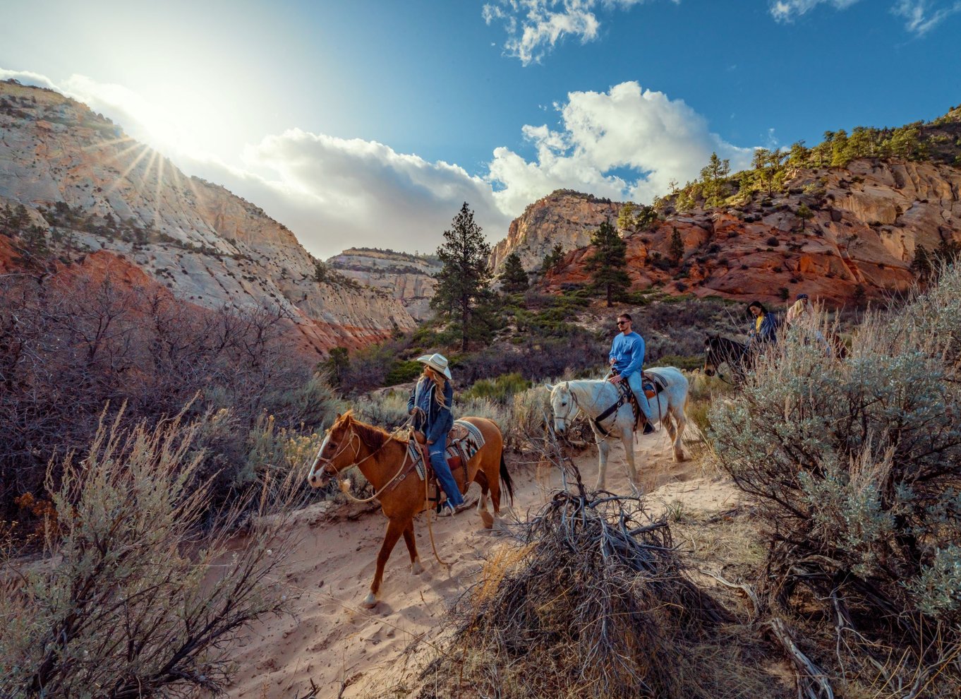 Orderville: East Zion Park White Mountain Horseback Tour