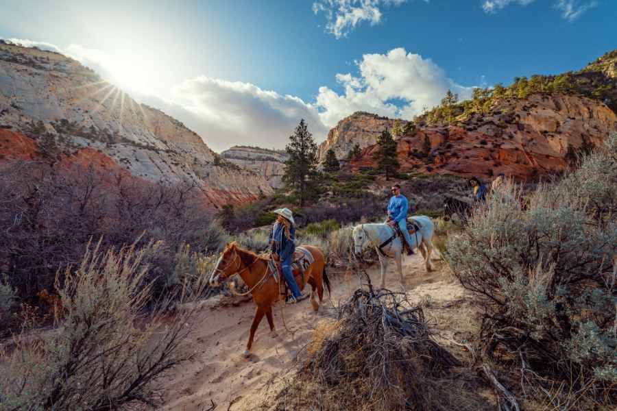 Orderville: East Zion Park White Mountain Horseback Tour. Foto: GetYourGuide