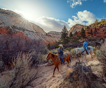Orderville: East Zion Park White Mountain Horseback Tour