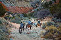 Orderville, East Zion Park White Mountain Horseback Tour - Housity