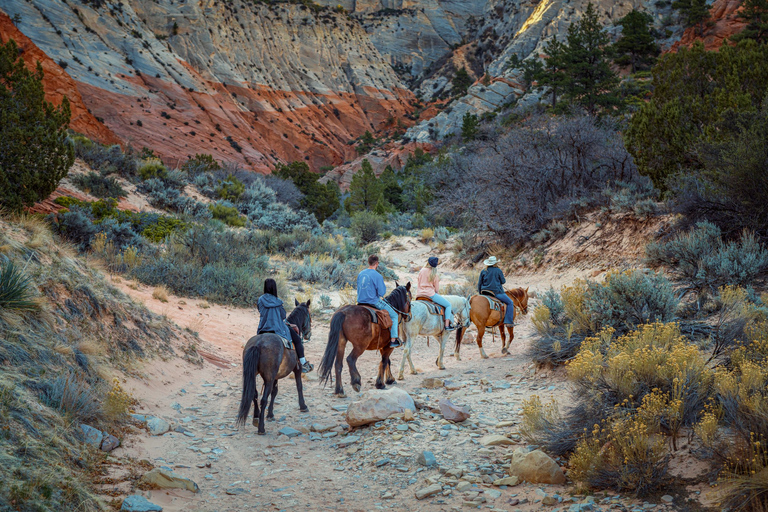 Orderville: East Zion Park White Mountain Horseback Tour