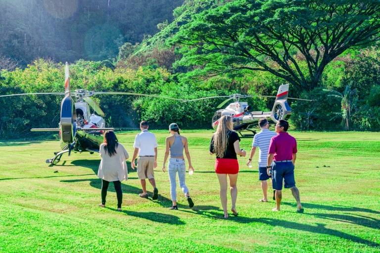 Maui: Road to Hana Helicopter & Waterfall Tour met landing
