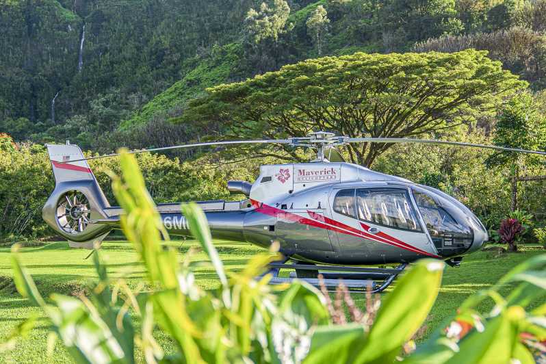 Maui Road to Hana Helicopter & Waterfall Tour with Landing GetYourGuide