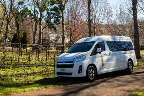 Tamborine Mountain: Half-Day Local Winery Tour with Lunch