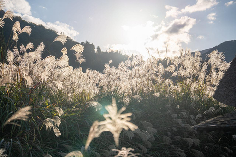 Kanazawa: Shirakawa-go privé-dagtour met lunch