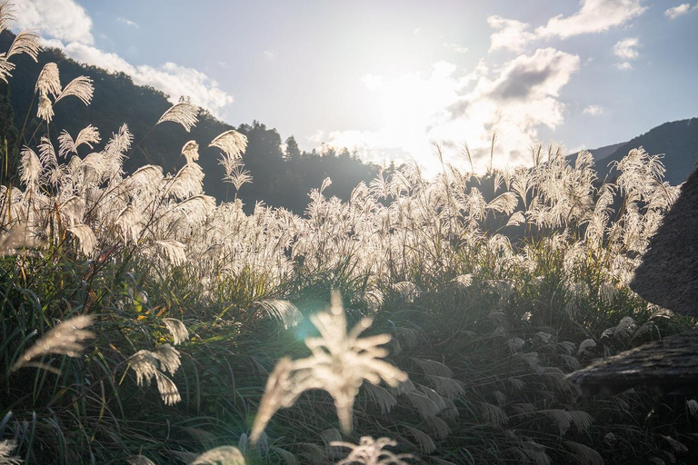Kanazawa: Shirakawa-go privé-dagtour met lunch