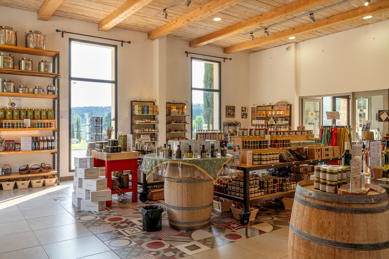 Free tour of the olive oil mill and olive oil tasting