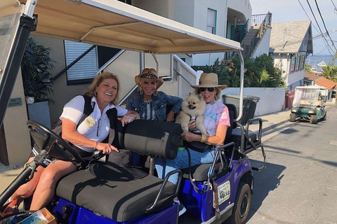 Catalina Island: privérondleiding met golfkar door AvalonAvalon: privérondleiding per golfkar