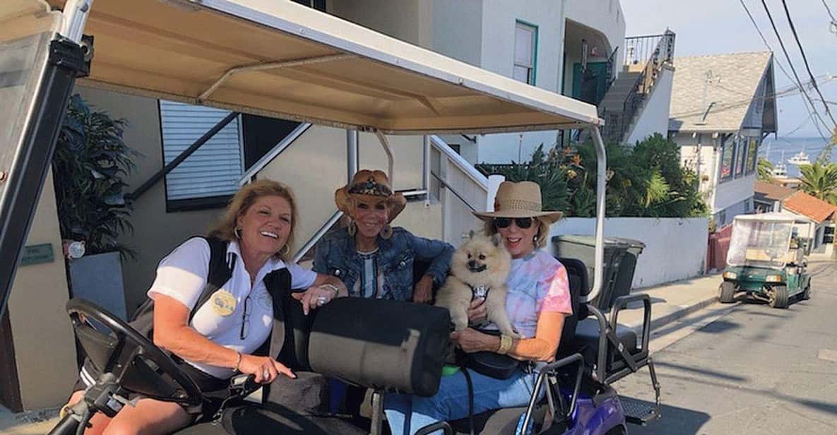 Catalina Island Private Guided Golf Cart Tour of Avalon GetYourGuide