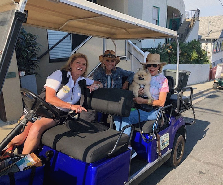 Isola Catalina: tour guidato privato in golf cart di Avalon