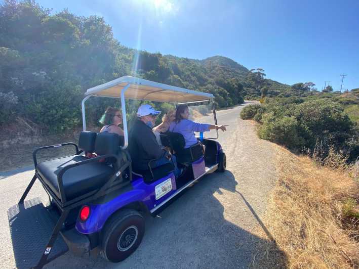 guided golf cart tour catalina island