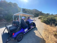 Catalina Island, privé geleide golfkarren tour door Avalon - Housity