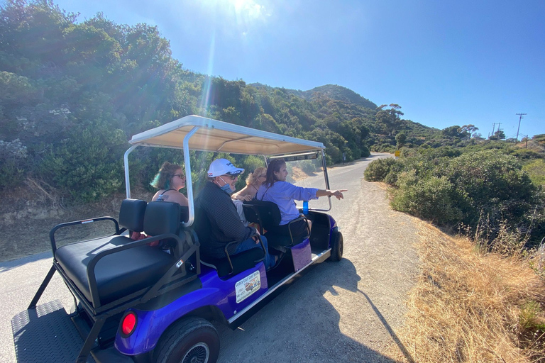 Catalina Island: privérondleiding met golfkar door AvalonAvalon: privérondleiding per golfkar