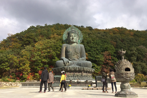 Seoul: Monte Seorak, Isola di Nami, No ShoppingTour di gruppo - dalla stazione universitaria di Hongik uscita 8