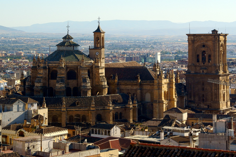 Granada: Rundtur med köföreträde till katedralen och kungliga kapelletRundtur i Granadas katedral &amp; kungliga kapellet - franska