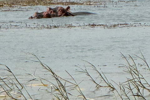 Addis Abeba: 3-tägige Tour zu den Seen des Rift Valley mit Guide