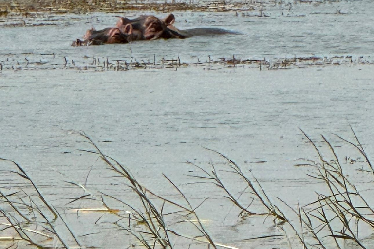 Addis Abeba: 3-tägige Tour zu den Seen des Rift Valley mit Guide