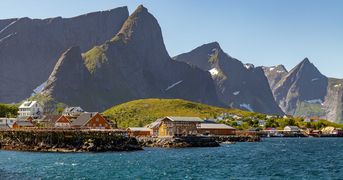 majestic reinefjord sightseeing cruise