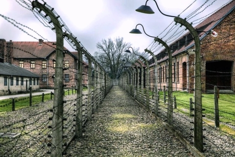 Desde Cracovia: Visita guiada en grupo a Auschwitz-Birkenau en minivan