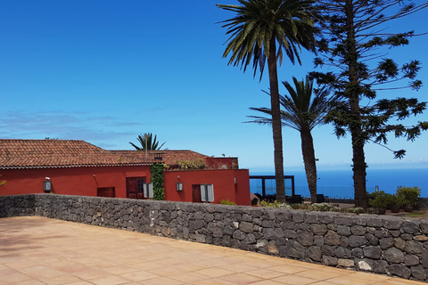 Tenerife: 4-uur durende Gauchinche Food Tour