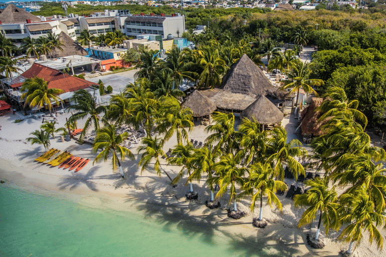 Cancún : Nage avec les requins-baleines et plage de Playa Norte