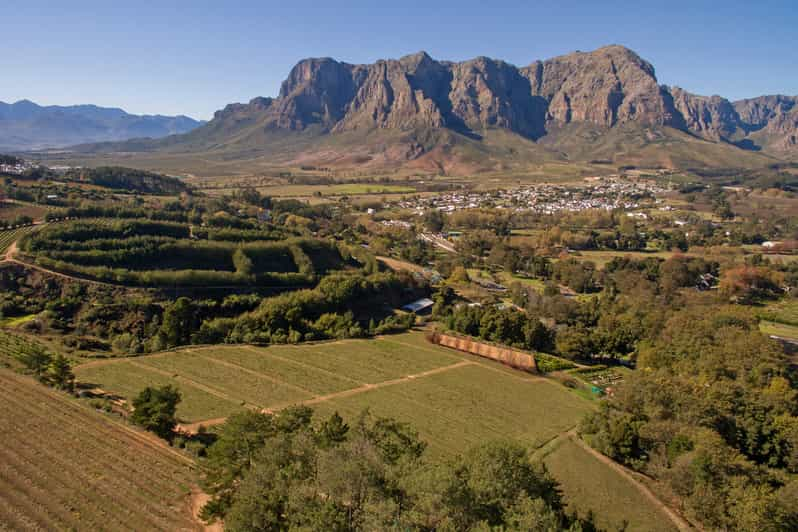 Cape Town: Full-Day Wine Tasting Tour with Wine Tram | GetYourGuide