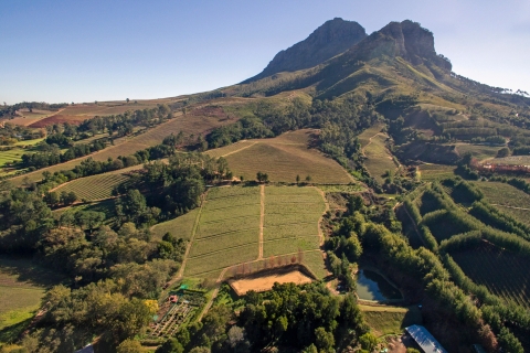Kaapstad: dagtour wijnlandenEngelse rondleiding