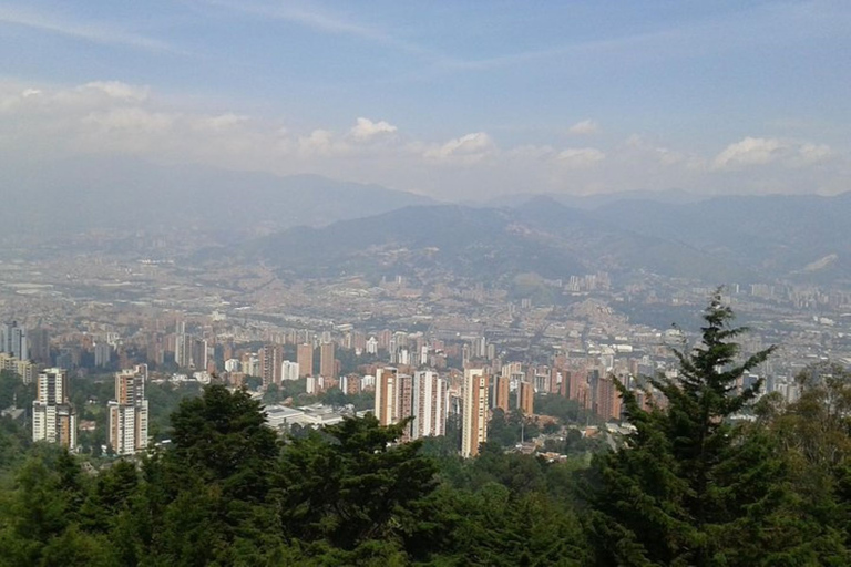 Tour privado Palmas aventura culinaria de Medellín