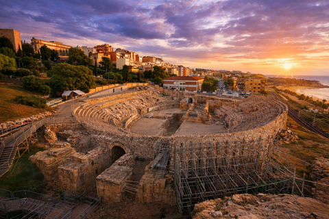 From Barcelona: Tarragona Private Tour with Expert & Driver