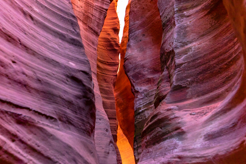 Orderville: East Zion Park White Mountain Horseback Tour