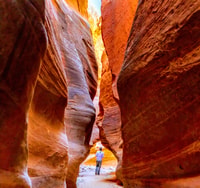 Orderville, East Zion Park White Mountain Horseback Tour - Housity