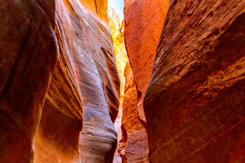 Orderville: East Zion Park White Mountain Horseback Tour