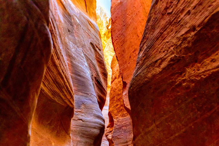 Orderville: East Zion Park White Mountain Horseback Tour