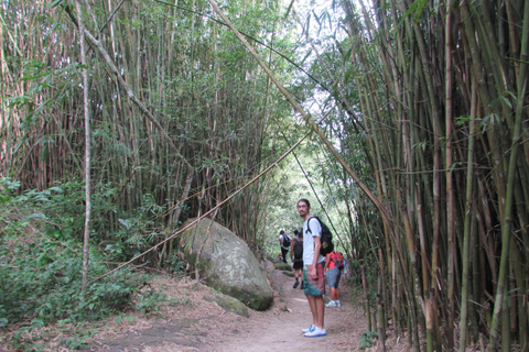 Discover Pedra do Telégrafo: Scenic Hike with Expert Guide