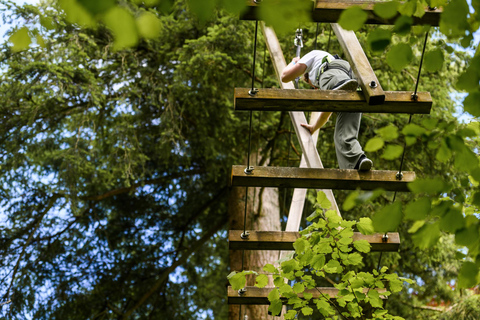 Windermere: Treetop Course (Full Trek)