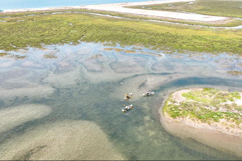 San Diego: excursión en kayak para observar la fauna salvaje en aguas cristalinasSan Diego: excursión en kayak para observar la fauna salvaje con aguas cristalinas
