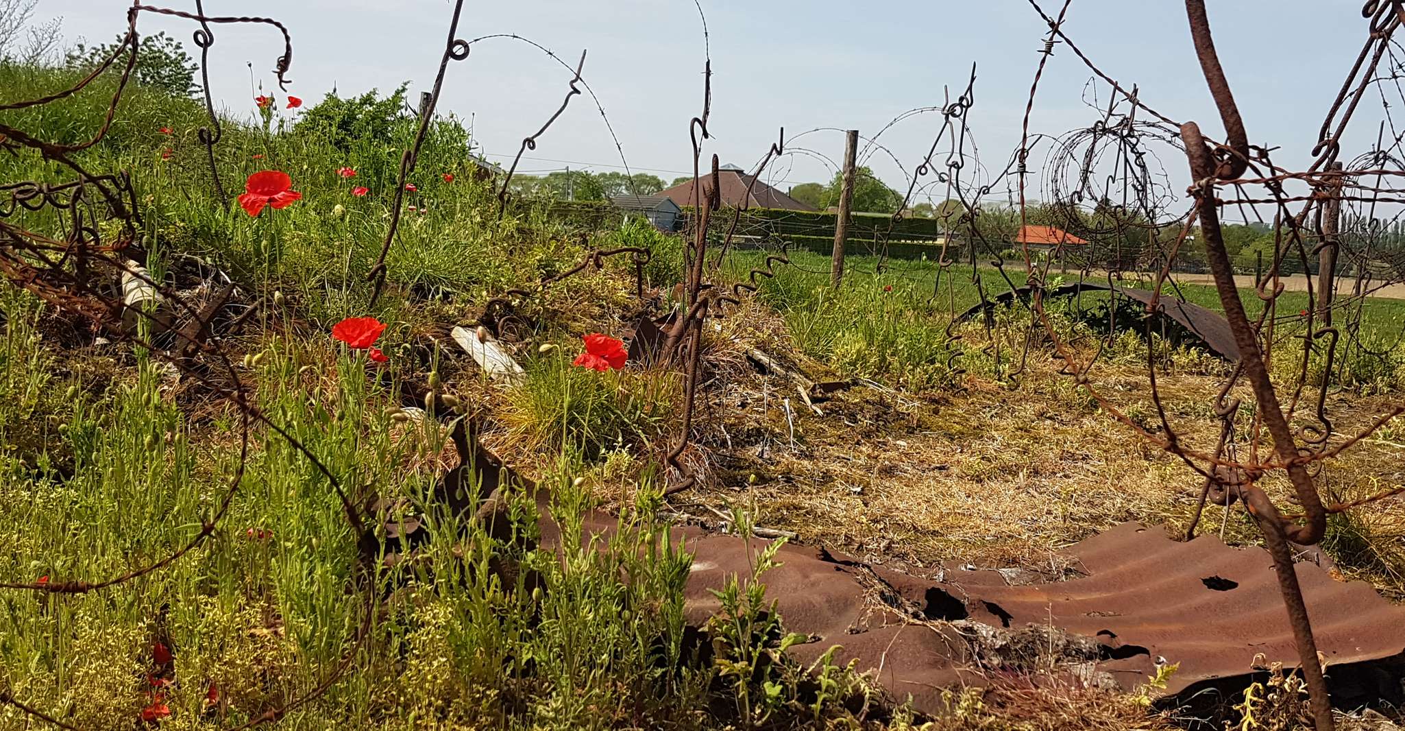 Von Brügge, Great War Flandern Fields Minibus Tour mit Mittagessen - Hizvo