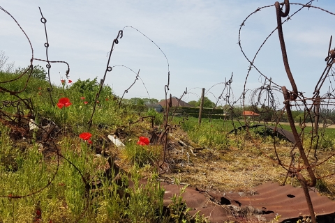 Ab Brügge: Tour zu den Kriegsschauplätzen Flanders Fields