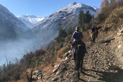 Santiago: Andes Horseback Ride with Wine Tour and Tasting