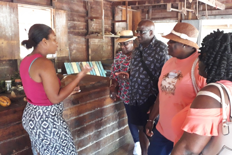 Grenada: Individuelle Privat-/Gemeinschaftstour im MinibusPrivate, maßgeschneiderte Tour & kulturelle Erfahrung