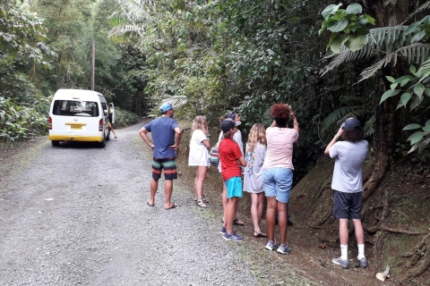 Grenada: Private/Shared Customized Tour by Minivan Private Customized Tour & Cultural Experience