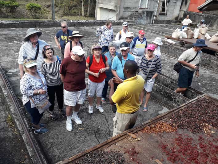 Grenada's Essence: A Personalized Private Spice Tour