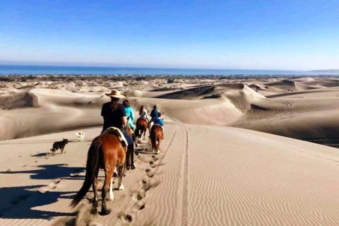 Equitazione sulla spiaggia e dune di sabbia e tour di Viña del Mar