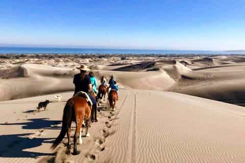 Santiago: Horseback Riding, Sand Dunes and Viña del Mar Tour